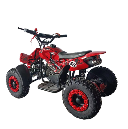 Kinder Quad TSI SPEED SPORT 49cc  Sport 6"