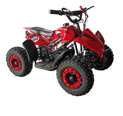 Kinder Quad TSI SPEED SPORT 49cc  Sport 6"
